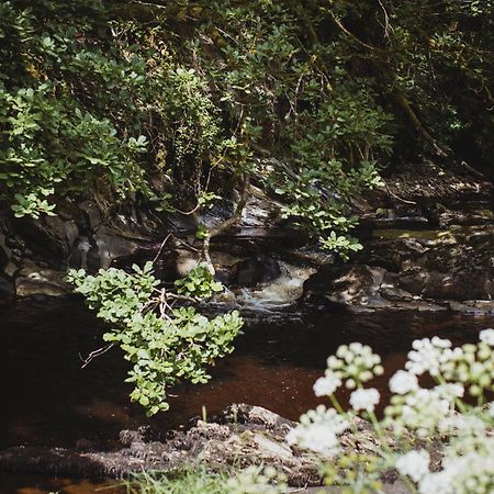 River Cottage, A Luxurious And Cosy Riverside Cottage For Two Welshpool Exterior foto